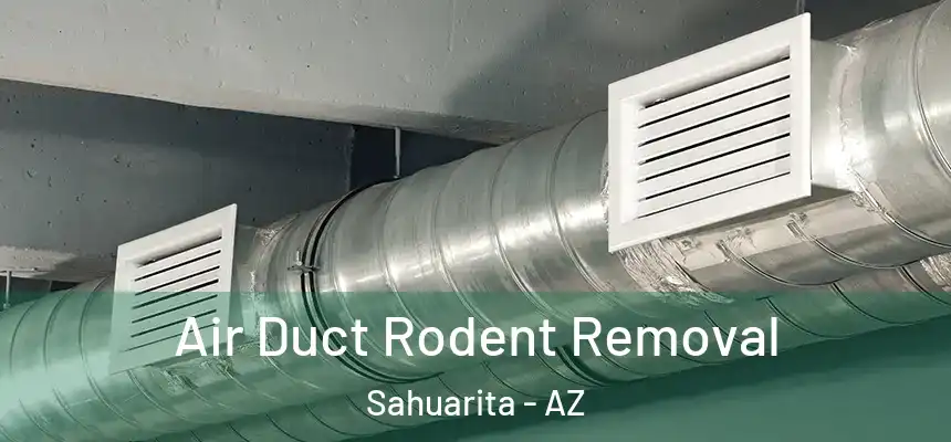  Air Duct Rodent Removal Sahuarita - AZ