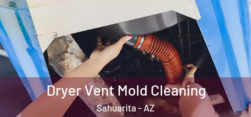  Dryer Vent Mold Cleaning Sahuarita - AZ