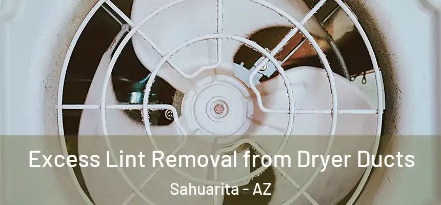 Excess Lint Removal from Dryer Ducts Sahuarita - AZ