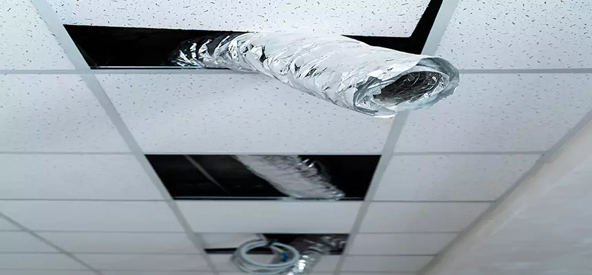 Our Air Duct Pet Hair Removal Services in Sahuarita, AZ