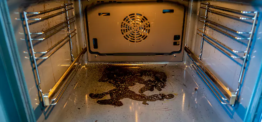 Our Dryer Vent Mold Cleaning Services in Sahuarita, AZ