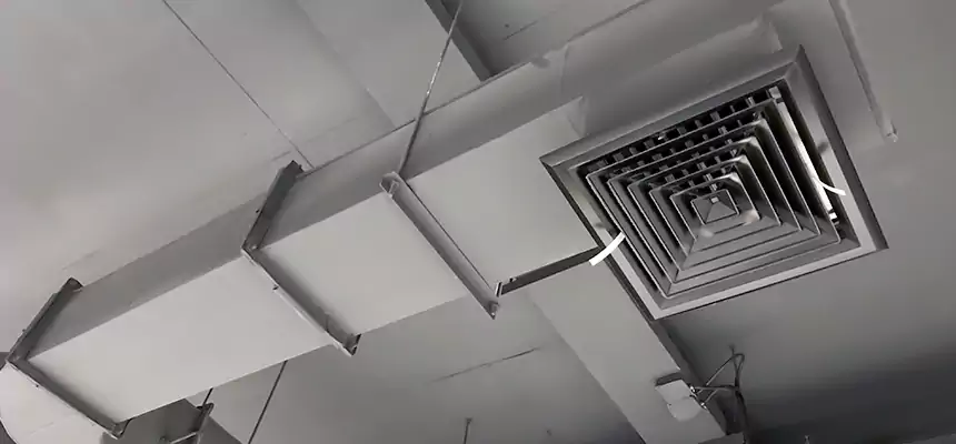 Our Pest Removal From Ducts Services in Sahuarita, AZ