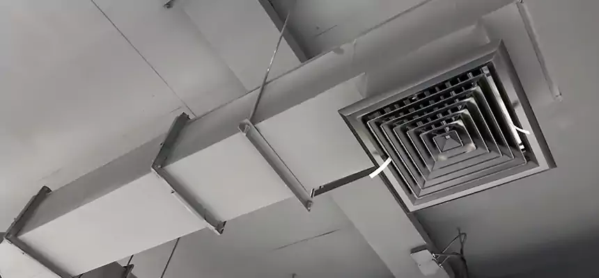 Our Rodent Droppings In Vents Services in Sahuarita, AZ