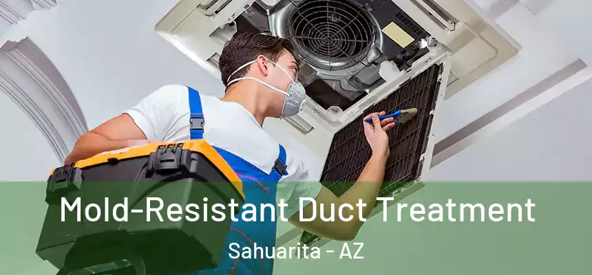  Mold-Resistant Duct Treatment Sahuarita - AZ