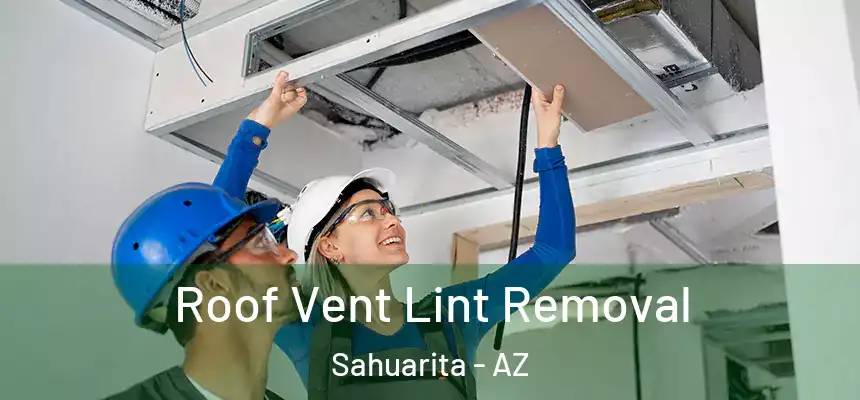  Roof Vent Lint Removal Sahuarita - AZ