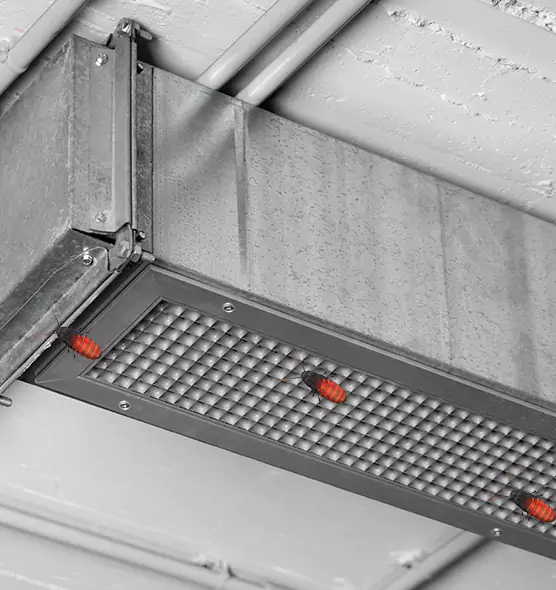About Air Duct Cockroach Removal in Sahuarita, AZ
