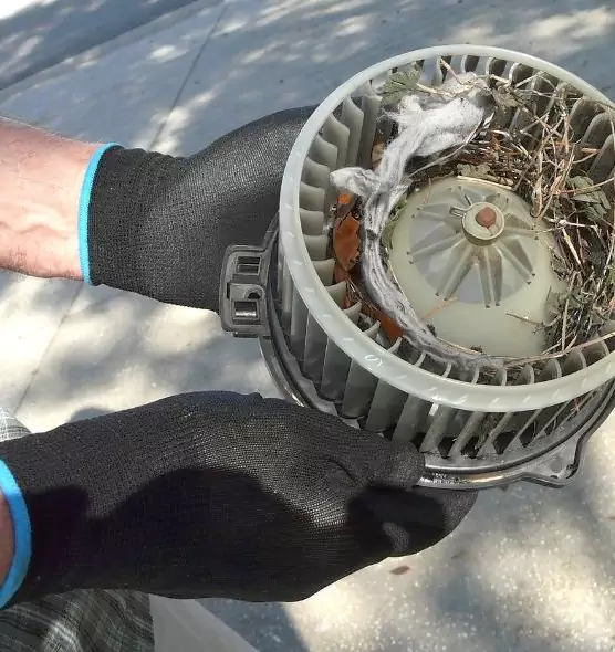 About Air Duct Mice Removal in Sahuarita, AZ