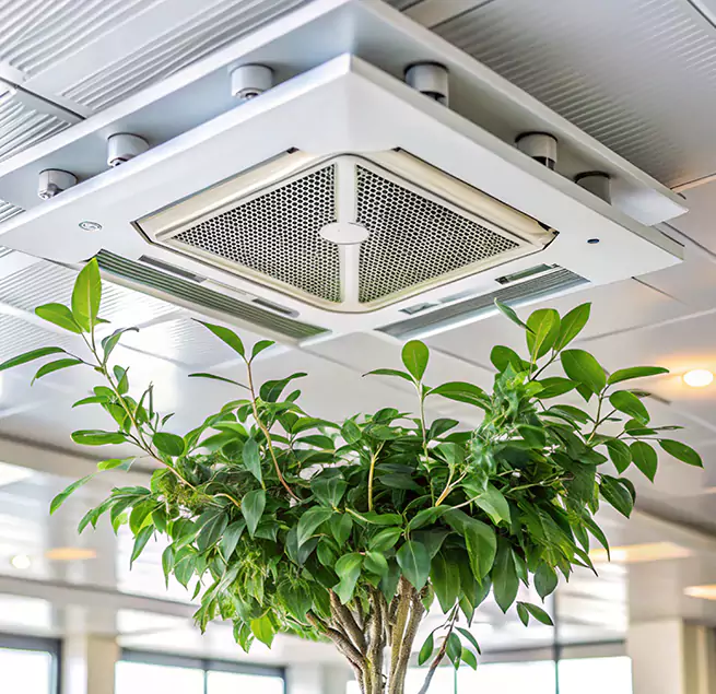 Why Homeowners & Businesses Trust Us in Sahuarita, AZ